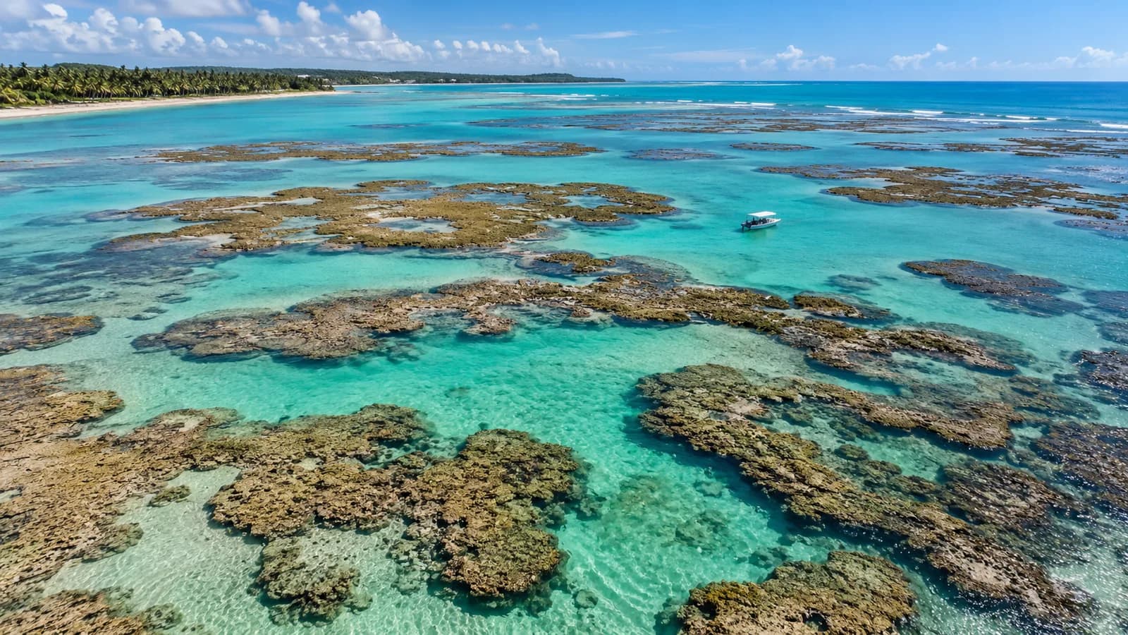 Piscinas naturais de águas claras entre os recifes de Maragogi
