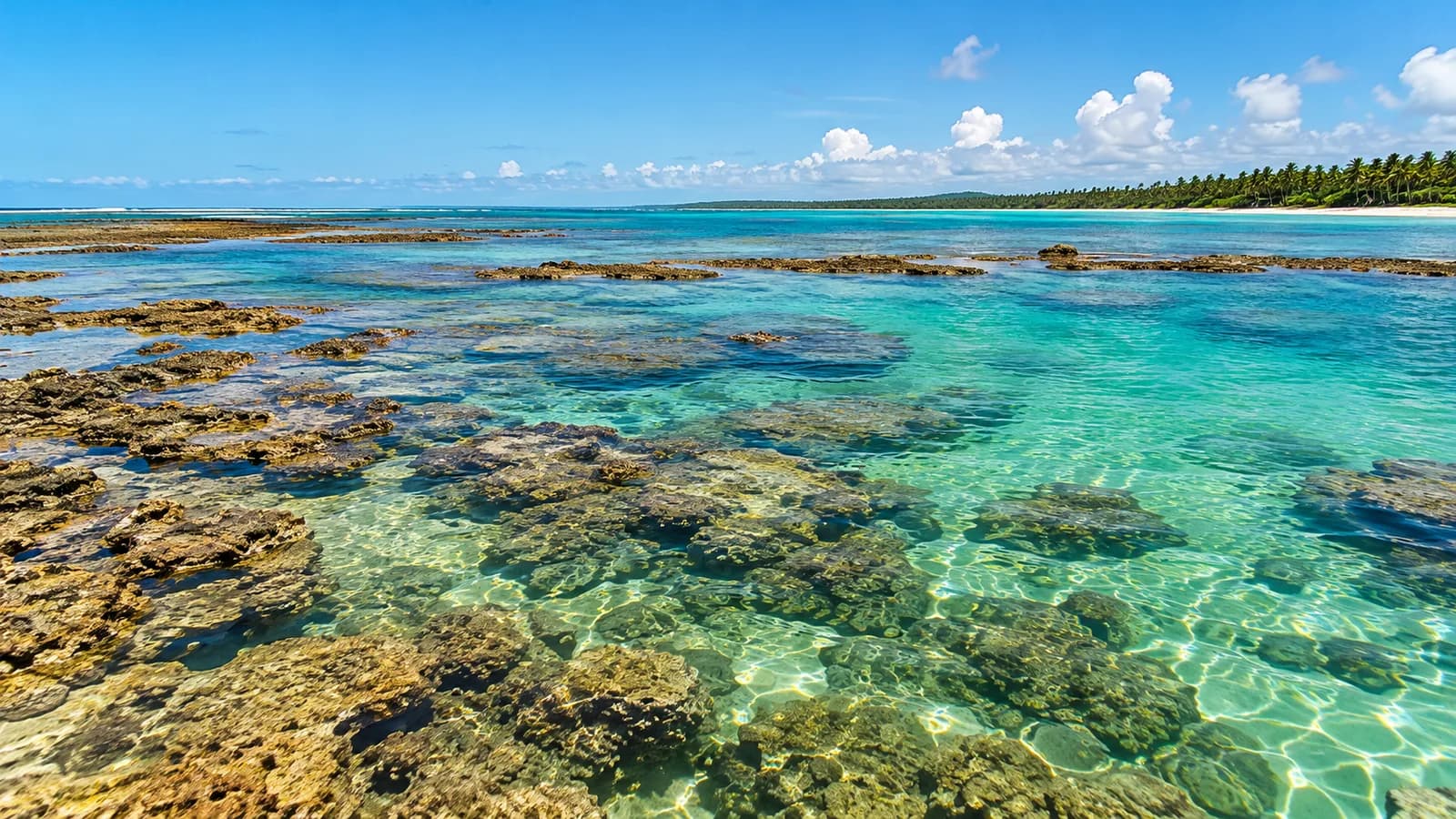 Tábua de marés em Japaratinga: como planejar piscinas naturais